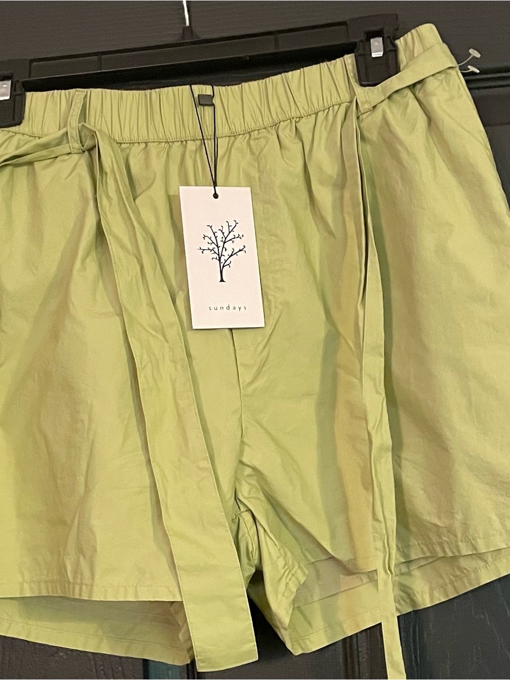 sundays Light Olive Drawstring Flat Front Shorts